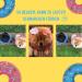 Inflatable Dog Collar - Comfortable & Safe Alternative for Medium Dogs | Blue Leak Protection & Relaxation - Buy Online on GoSupps.com