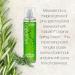 Shop Vitabath Fragrance Mist Original Green - 8 Fl Oz | Refreshing Aromatherapy | International Shipping Available - Buy Online on GoSupps.com
