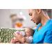 Philips Avent Anti-colic Baby Bottles Pink  4oz  3 Piece - Buy Online on GoSupps.com
