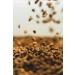 Delta Caf s Superior Coffee Beans - Premium 1 kg Coffee Set for International Shipping - Buy Online on GoSupps.com