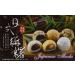 Authentic Japanese Mochi Daifuku - Assorted Rice Cake 15.8 oz | Buy Online - Buy Online on GoSupps.com
