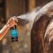 Carr Day and Martin Canter Coat Shine 500ml Coat Care 500ml Clear - Buy Online on GoSupps.com