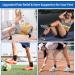 NeoAlly Copper Ankle Support Brace - Compression Sleeve for Plantar Fasciitis & Achilles Tendon Pain Relief - Medium & X-Large Sizes Available - Buy Online on GoSupps.com