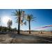 Gibbon Slacklines Surferline Purple 98ft with Treewear and Ratchet Protection - 50mm Wide - Buy Online on GoSupps.com