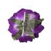Rocutus 10-Piece 20 Teeth Metal Wire Hair Clip Combs for Women - Mixed | DIY Twist Bridal Wedding Veil Hair Accessories - Buy Online on GoSupps.com
