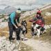 Hurtta Trail Pack Dog Backpack - Raven Small (56-76 cm 9-18 kg / 20-40 lbs) | Durable & Functional Dog Gear for Outdoor Adventures - Buy Online on GoSupps.com