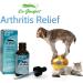 Dr. Goodpet Arthritis Relief - Natural Homeopathic Formula for Muscle & Joint Pain Relief - Buy Online on GoSupps.com