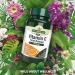 Natures Aid Vitamin C 1000mg Time Release Tablets with Citrus Bioflavonoids - Immune System Support - Vegan - Made in the UK - Buy Online on GoSupps.com