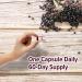 ORZAX Elderberry Capsules 2000mg with Zinc & Vitamin C - Immune Support for Adults - Antioxidant Rich - 60 Capsules - Buy Online on GoSupps.com