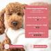Mammaly Lucky Belly Allergy Fit - Grain-Free Probiotics Digestive Snacks for Dogs (90 Pieces) - Chicken-Free Intestinal Health Treats - Buy Online on GoSupps.com