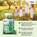 Organic Iodine Gummies with Zinc & Selenium for Thyroid Support - Apple Flavored 60 Gummy - Energy & Immune System Booster - Buy Online on GoSupps.com