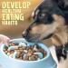 Purrfects Slow Feeder Dog Bowl (Sky Blue) - Anti Choke and Bloat - Dog Slow Feeder for Slower Feeding - Buy Online on GoSupps.com