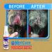 KeriCure Tough Seal Liquid Bandage and Hot Spot Spray Combo 2 Pack Small Animal Dog Cat Pet Spray on Liquid Bandage and Soothing Hot Spot Gel Spray Each 2oz Spray Bottles Soothe Protect & Heal - Buy Online on GoSupps.com