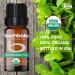 Organic Peppermint Essential Oil - 100% Pure USDA Certified for Aromatherapy & Therapeutic Use | 10ml (0.33 Fl Oz - Buy Online on GoSupps.com