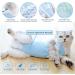 Adjustable Cat Protection Suit | Professional Recovery Suit for Abdominal Wounds & Skin Diseases | Post-Op Castration Pet Suit (M) - Blue - Buy Online on GoSupps.com