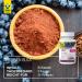 Raab Vitalfood OPC Extract Capsules - 90 Vegan & Gluten-Free Grape Seed Oligomeric Proanthocyanidins for Optimal Health - Buy Online on GoSupps.com