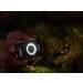 OLYMPUS LED Light Guide LG-1 - Buy Online on GoSupps.com