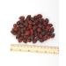 IGART Rosehips Whole 5000g 5kg Whole Rosehips Rosae Pseudo Fructus 100 Natural Rosehips - Buy Online on GoSupps.com