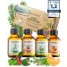 Woodfjord Sauna infusion Set Bio Aktiv i 4 different sauna fragrances and oils 100 ml i Premium sauna infusion agent Set for authentic sauna experiences I The perfect sauna air test set active (organic) 4er set