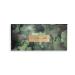 Buy Magic Studio Camouflage Palette - Perfect for Flawless Skin | International Shipping Available - Buy Online on GoSupps.com