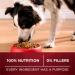 Purina ONE True Instinct High Protein Dry Dog Food Beef & Bison - 12.4 kg Bag 12.4 kg (Pack of 1) - Buy Online on GoSupps.com