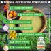 Moringa Oleifera 180 Capsules | 100% Pure Leaf Powder | 1000mg Per Serving | Green Superfood Supplement | 3 Month Supply | Vegan Capsules - Buy Online on GoSupps.com