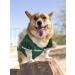 Meta Title: NFL New York Jets Dog Jersey - Large | Officially Licensed Gear - Buy Online on GoSupps.com