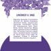 Schmidt's Aluminum-Free Natural Deodorant - Lavender & Sage, 24-Hour Odor Protection, Vegan & Cruelty-Free - Buy Online on GoSupps.com