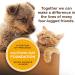Rachael Ray Nutrish Cat Treats Bundle - Wheelies Chicken, Soft Spots Salmon, Love Bites Chicken - 6 Packs Each - 30 Ounce Total - Buy Online on GoSupps.com