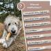 Zoyys Coffee Wood for Dogs - Natural Chewing Bones | XXL 3-Pack | Dental Health & Sustainable Employment | 30kg Weight | Durable Dog Accessories - Buy Online on GoSupps.com