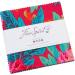 Kaffe Fassett Collective February 2023 Darker Charm Pack 42 5-inch Squares Free Spirit