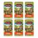 Celestial Seasonings Bengal Spice Herbal Tea (Pack of 6) White