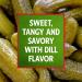 Heinz Dill Relish flacon de 375 ml - Buy Online on GoSupps.com