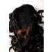 Buy WIG ME UP Hairpiece Ponytail Braid - Black & Red-Brown Curls 55 cm - JL-3266-1BF30 | International Shipping Available - Buy Online on GoSupps.com