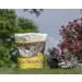 Buy Manna Pro Ultimate Scratch Chicken Feed - Nutrient Rich Treats, 10 LB - Buy Online on GoSupps.com