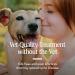 PetArmor Flea and Tick Treatment for Small Dogs (5-22 lbs) - 3 Month Supply - Buy Online on GoSupps.com
