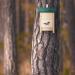 Relaxdays Bat Box Nesting Habitat - Untreated Solid Wood Shelter 25.5x18x6 cm - Natural/Green - Buy Online on GoSupps.com