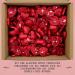 Gourning Life Box - 1000g Storz Chocolate Hearts | Perfect for Mother's Day & Valentine's Day Decorations - Buy Online on GoSupps.com