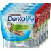 Purina DentaLife Mini - Maxi Pack - Daily Oral Hygiene - 345 g - 21 Chew Sticks for Small Dogs - Pack of 4 - Buy Online on GoSupps.com