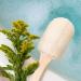 EcoTools Loofah Bath Brush with Ergonomic Handle - Gentle Exfoliating Shower Brush for Hard to Reach Areas - Eco-Friendly & Vegan - 2 Count - Buy Online on GoSupps.com