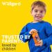Wellgard Vegan Kids Multivitamin Gummies Chewable Childrens Multivitamins Kids Vitamins Multivitamins 60 Gummies Orange Flavour Kids Gummies - Buy Online on GoSupps.com