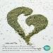 Yerba Mate Loose Tea 100g - The Natural Health Market - 100 Grams - Buy Online on GoSupps.com