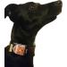 Premium Nappa Leather Dog Bag 30x40mm - 6 Colors Waterproof 2 Compartments For Collars Up to 30mm - Buy Online on GoSupps.com