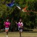 JOYIN 2 Pack Giant Butterfly Kite Set - Yellow and Blue - Easy to Fly - Large Kites for Kids and Adults - Perfect for Outdoor Games - Includes 262.5 ft Kite String - Buy Online on GoSupps.com