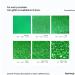 Eco-Friendly Biodegradable Glitter - Hemway 100g | Vegan Safe Sparkle for Face Eyes Body Hair Nails - Emerald Green - Buy Online on GoSupps.com