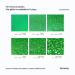 Hemway Extra Chunky Glitter 100g - Cosmetic Safe 1mm Emerald Green - Ideal for Crafting & DIY - Buy Online on GoSupps.com