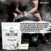 Alpenpower Creatine Monohydrate Creapure 500g - 99.9% Pure Vegan Power for Muscle Building - Made in Germany - Laboratory Tested Quality - Buy Online on GoSupps.com