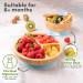 Bimba Bambino Baby Weaning Set | Bamboo Suction Plate, Bowl, Spoons & Silicone Bib - Non-Toxic, Natural Bamboo (Blue) - Buy Online on GoSupps.com