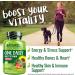 NATURELO One Daily Multivitamin for Women - 120 Vegetable Capsules | All-Natural & Whole Food Supplement - Buy Online on GoSupps.com
