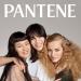 Pantene Pro-V Curl Perfection Conditioner - 17.7 Fl Oz - For Curly Hair - Buy Online on GoSupps.com